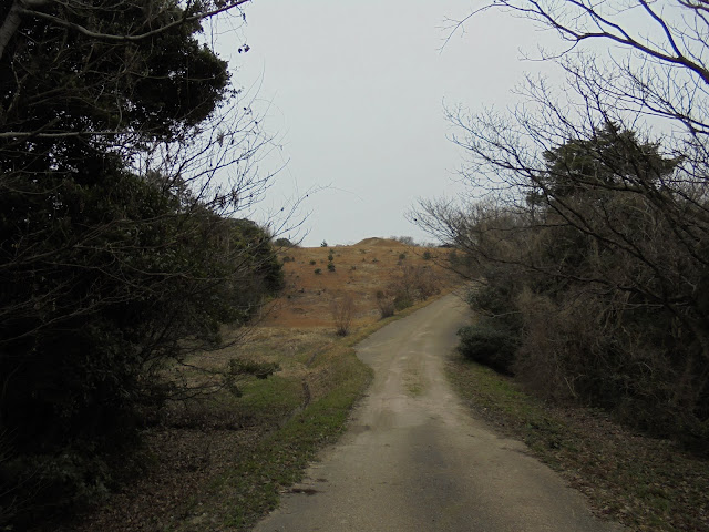 洞ノ原地区の西側丘陵