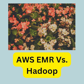 AWS EMR Vs. Hadoop