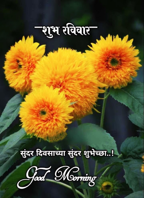 Today Good Morning Images Marathi