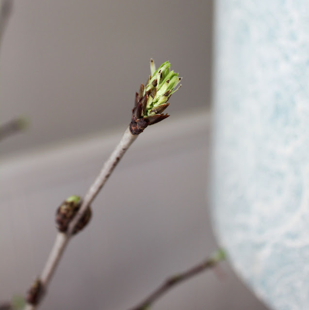 Simple Nature Inspired Spring Decor Projects From Itsy Bits And Pieces Blog