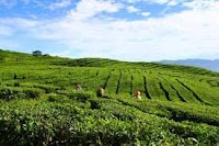 Pesona Keindahan Sumatra Selatan Indonesia