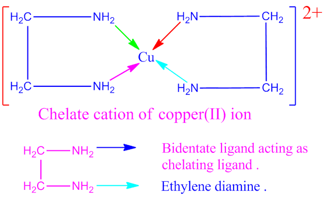 Why does ethylene diamine is called chelating ligand ?