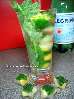 lemon-mint-ice-cubes