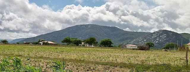 SERRA DO TRAIPU: UMA ROCHA MISTURADA COM VEGETAÇÃO DE CAATINGA