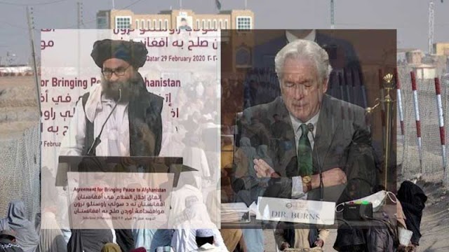 cia director william burns meeting with taliban