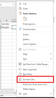 Format Cells in Excel