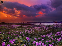 Waduk Cengklik Boyolali, Info (Peta Lokasi, Sejarah dan Misteri)