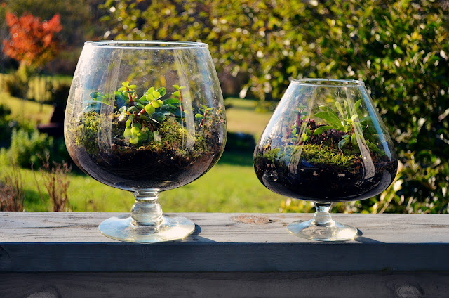 Terrarium Wedding Centerpiece