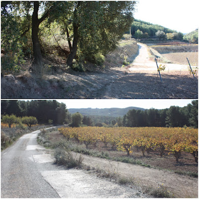 SANT MAGÍ DE LA BRUFAGANYA A LA BISBAL DEL PENEDÈS PR-C-224 AMB VARIANTS, Plana del Ponàs i Camí de la Masia al Pla de Manlleu (Aiguamúrcia)