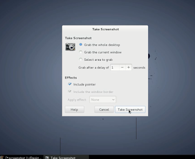 kali linux screenshot