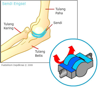 sendi engsel