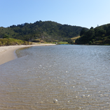 View album