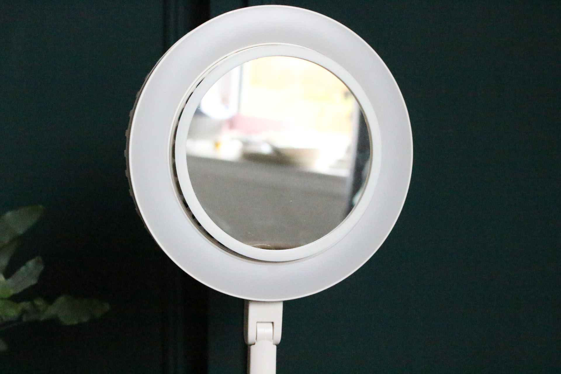 Ablaze 3x Magnifying Makeup Mirror with LED Ring Light – Sunlight Bathrooms
