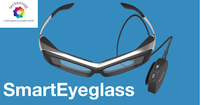 SmartEye Glasses