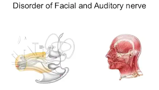 Facial and Auditory nerve