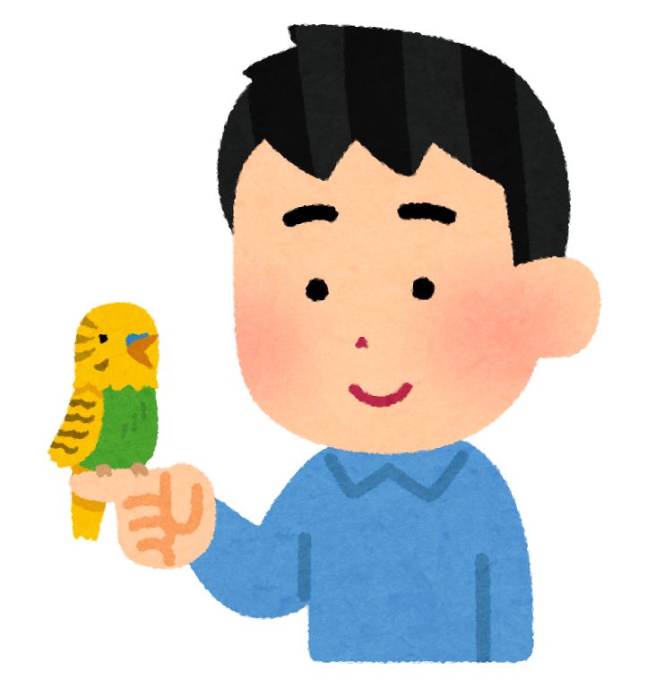 手乗りインコのイラスト 男性 かわいいフリー素材集 いらすとや