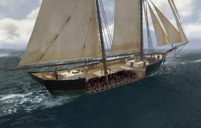 Clotilda: Last US slave ship discovered in Alabama - The Archaeology