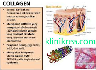 Manfaat Dan Jenis-Jenis Kolagen