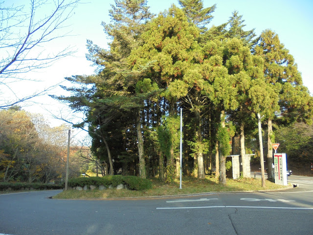 ビラ大山のバス停