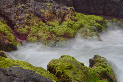 Otago MBA: photo taken at Allans Beach