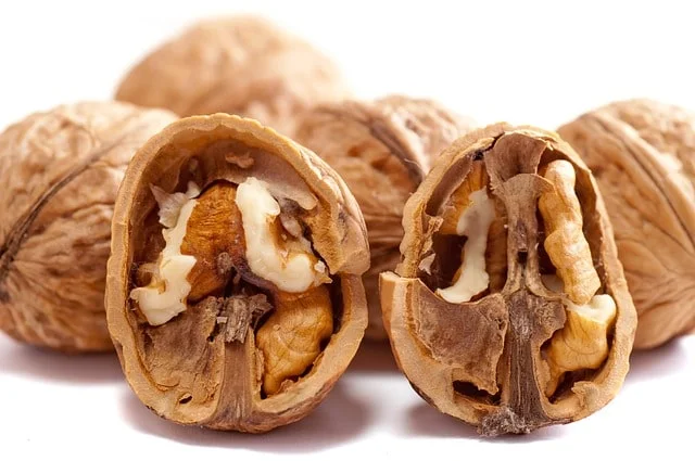 The use of walnuts keeps bones and teeth strong and healthy. They play an important role in activating the growth of new cells in the body. Walnuts help increase the action of insulin in the human body and keep it warm.