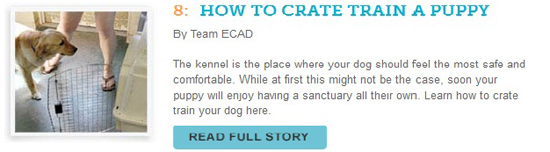 http://cesarswaytraining.blogspot.com/2014/08/how-to-crate-train-puppy.html