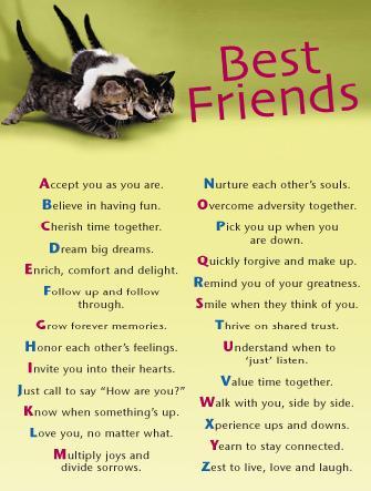 Amazing friendship quotes