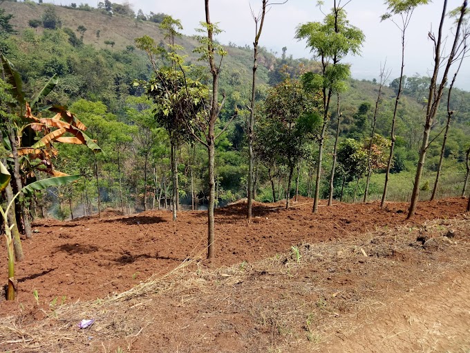 Jual Tanah di Soreang Luas 2000 meter persegi cocok buat perumahan Cluster