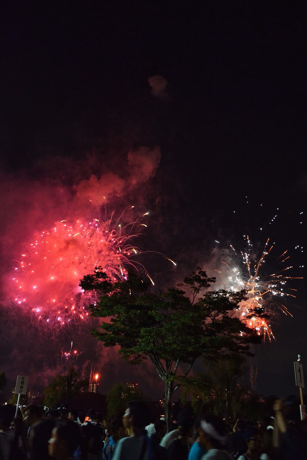 大濠公園花火大会16 Ohorikoen Fireworks 16 Portal Bj