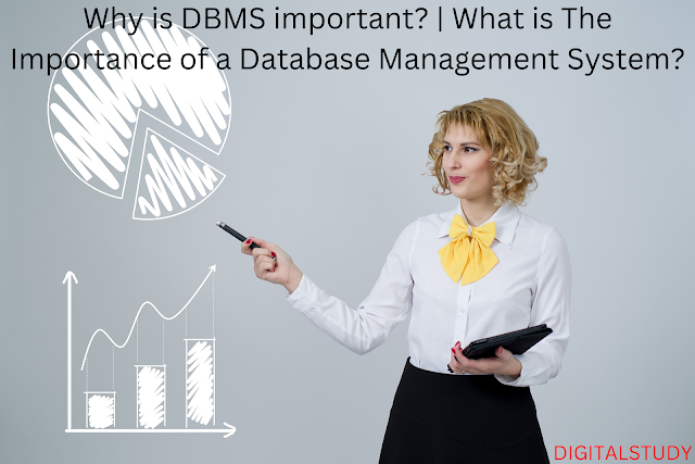Why is DBMS important? | What is The Importance of a Database Management System?