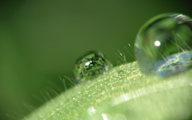 Gotas de Agua - Waterdrops