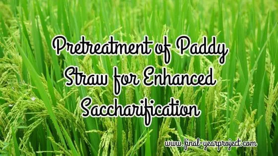 Pretreatment of Paddy Straw for Enhanced Saccharification