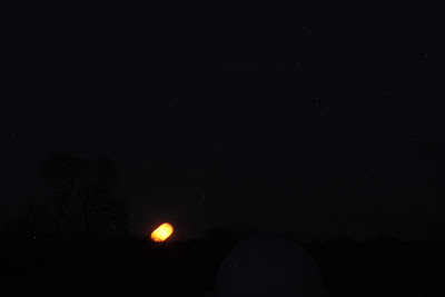 Moon trailing up over the tree line from the CAO