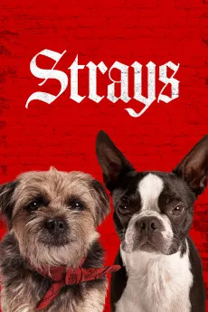 strays movie 2023 full HD free download