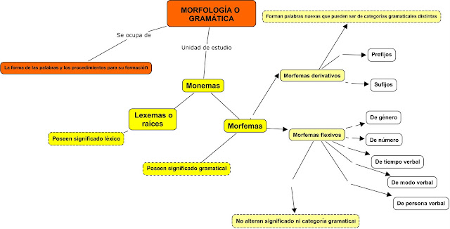 Resultado de imagen de esquema morfologia