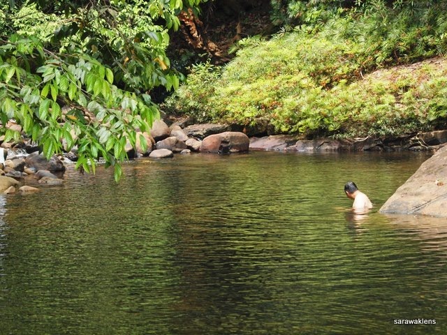 river_in_sarawak_14