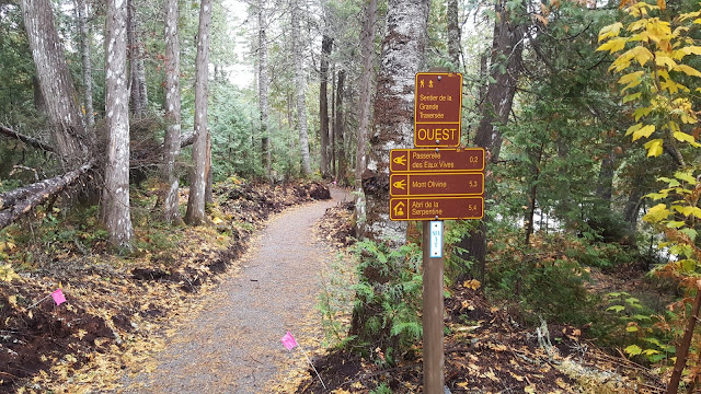 Sentier de la grande traversée pour le mont Albert