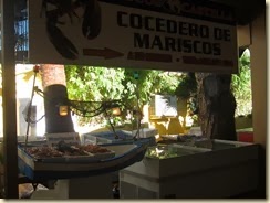 IMG_6772