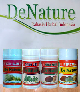  rumah herbal