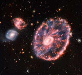 ESO 350-40, PGC 2248, AM0035-335 - Cartwheel Galaxy (NIRCam and MIRI Composite Image) - A large galaxy on the right, with two much smaller companion galaxies to the left at 10 o’clock and 9 o’clock. The large galaxy resembles a speckled wheel, with an oval outer ring and a small, off-center inner ring. The outer ring contains pink plumes like wheel spokes, with dusty blue regions in between. The pink areas are silicate dust, while the blue areas are pockets of young stars and hydrocarbon dust. The inner ring is smoother, filled in with a more uniform pale pink. This smaller ring is interwoven with thin, orange-pink threads. On the galaxy's right edge, a bright white star with 8 diffraction spikes shines. The two companion galaxies to the left, one above the other, are about the same size and both spiral galaxies. The galaxy above is a reverse S shape but similar in coloring and texture as the large ring galaxy. The galaxy below is smoother and largely white, with a blue tinge.