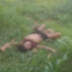 Mulher é encontrada morta em terreno baldio no Centro de Maués