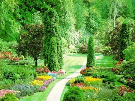 Garden Pictures on Flower Gardens  Beautiful Garden