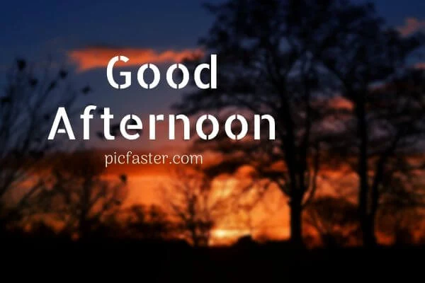New Good Afternoon Images, Photos In [2020]