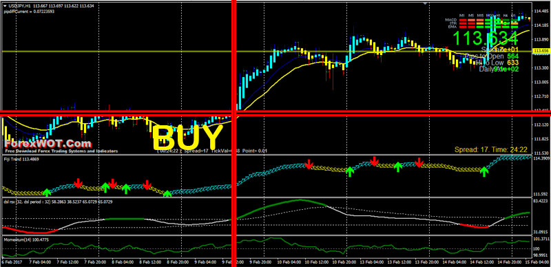 a day in the libe of a forex trader