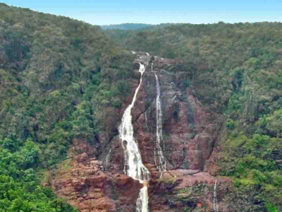 Gandhamardan hills become 3rd biodiversity heritage site in Odisha