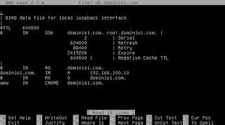 configuración de un servidor BIND - DNS en Debian