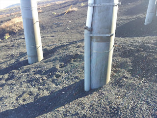 「富士山の送電網」架空線最終部の71号電柱基部