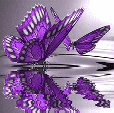 gif rama rama background putih
