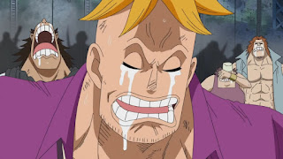 ワンピースアニメ 頂上戦争 不死鳥マルコ 白ひげ海賊団 ONE PIECE Marco the Phoenix Whitebeard