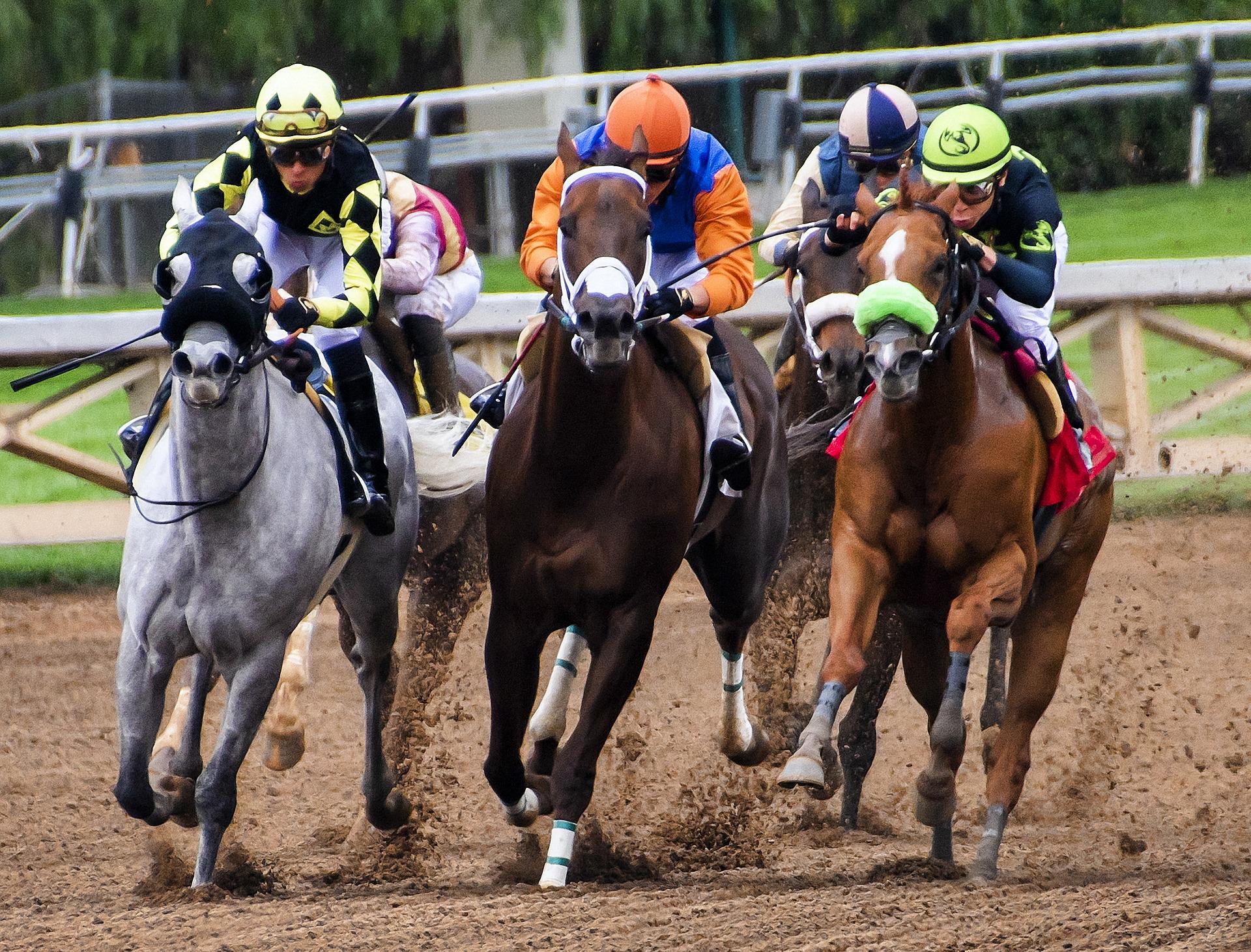 singapore horse racing